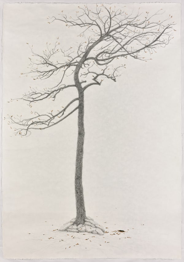 石晉華, 《犧牲樹 後傳》The Sacrifice Tree - Sequel, 2017