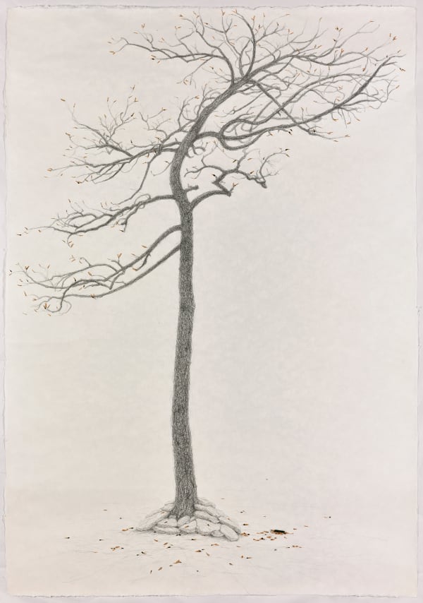 石晉華, 《犧牲樹 後傳》The Sacrifice Tree - Sequel, 2017