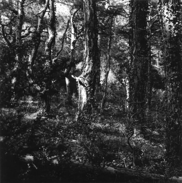 克里斯托弗.戴樂, 《阿韋龍,法國》Aveyron, France , 2012