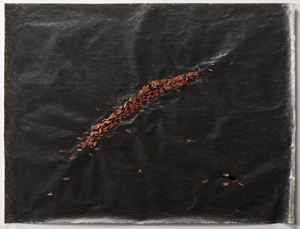 石晉華, 《走筆#141》 Pen Walking #141, 2014