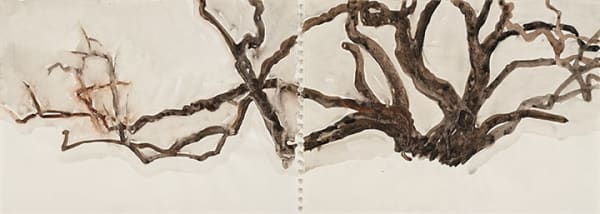 林銓居, 《虬之六》Curly Plum Tree VI, 2023