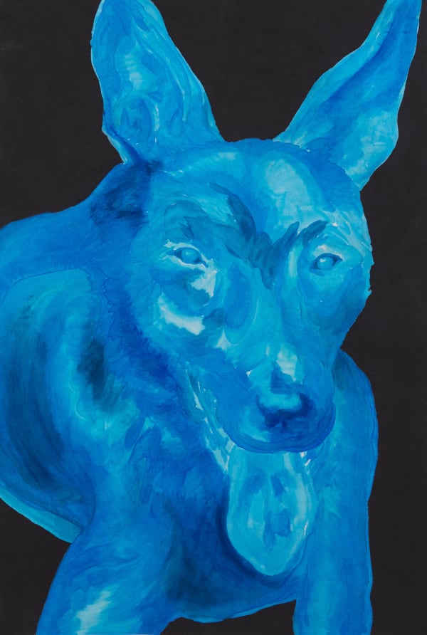 馬堤耶·馬哈切克, 《夜之觀察者》 Watcher of Night, 2025