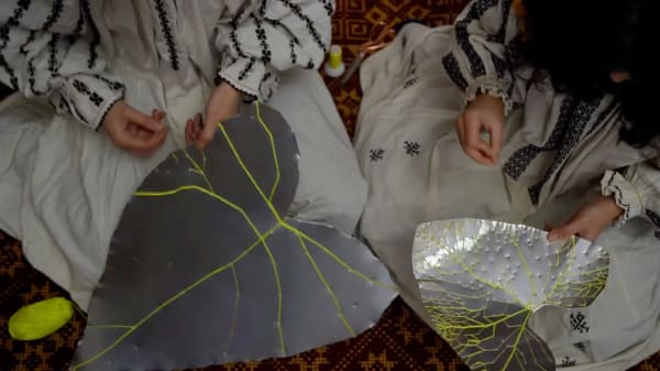 安德利亞・梅達爾, 《合作》 Clacă, 2024