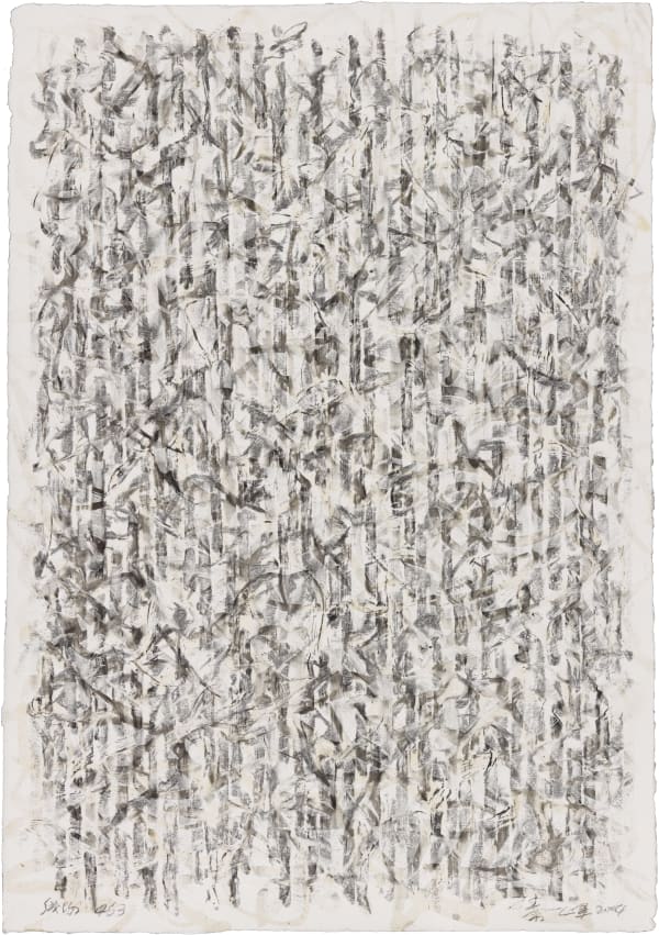 秦一峰, 《線場463》 Line Field 463, 2004