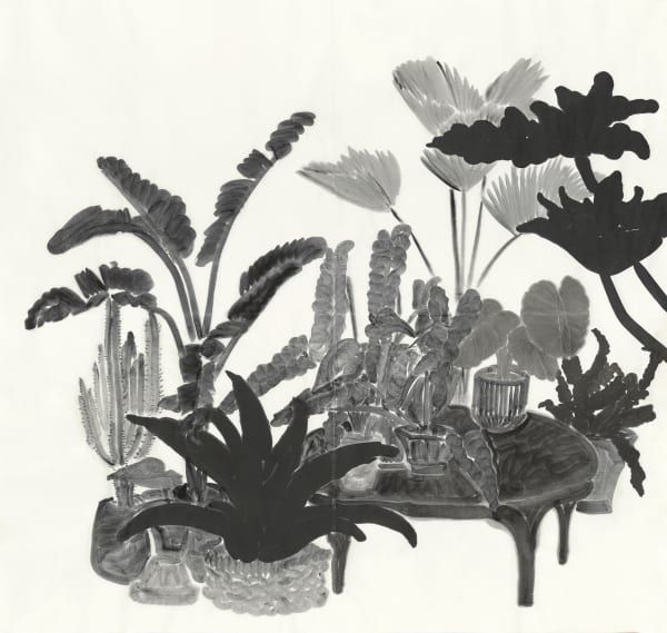 楊寓寧, 《觀葉植物》 Foliage Plants, 2022