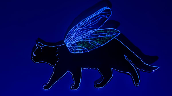 Since the Wood of Your Window Has Been Blooming-Andreea Medar