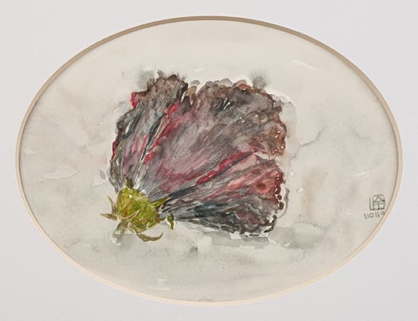 林銓居, 《扶桑花》Chinese Hibiscus, 2023