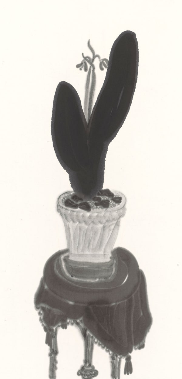 楊寓寧, 《有大葉片的蘭花》 Orchid with Large Leaves, 2023