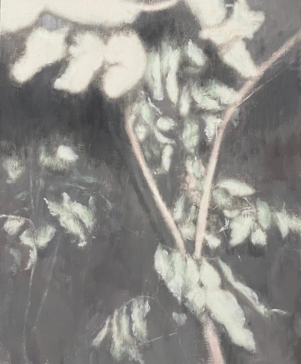 嚴友亨, 《紛擾》Outside Noise, 2025
