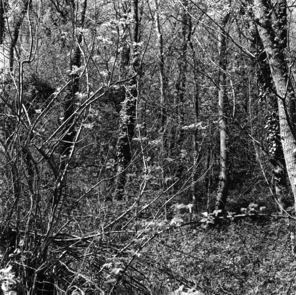 克里斯托弗.戴樂, 《奧弗涅,法國》Auvergne, France , 2010