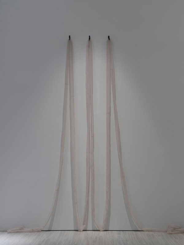 劉致宏, 《皮層》 A period of time , 2022