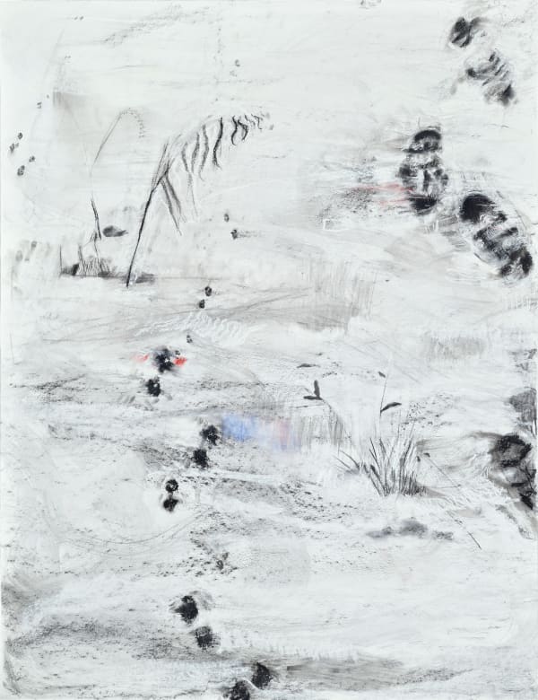 伊萬.德.莫伊沙, 《無名的足跡》Anonimus Traces of a Presence, 2024