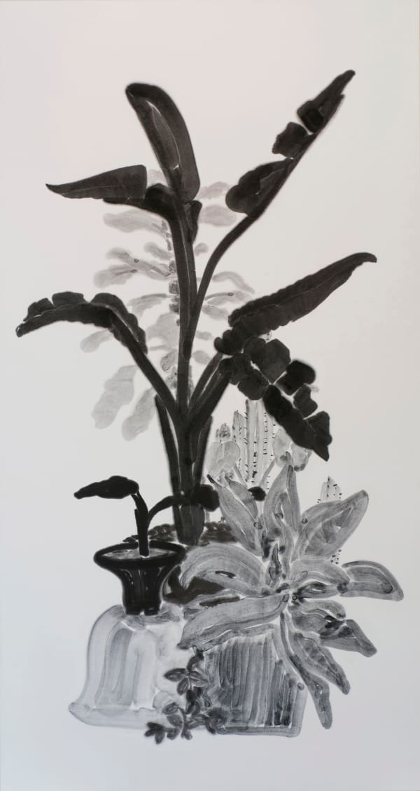 楊寓寧, 《室外植物》 Outdoor Plants, 2022