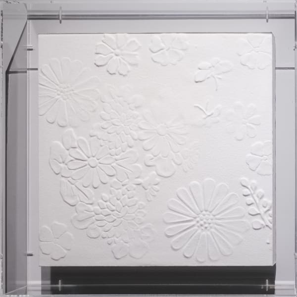 大卷伸嗣, 《迴響- 水晶計畫 光之化石(D)》 Echoes Crystallization Fossil of Light D, 2013