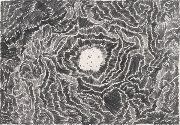 石晉華 , 《走筆#130 (困獸)》 Pen Walking #130 (Encircling), 2012