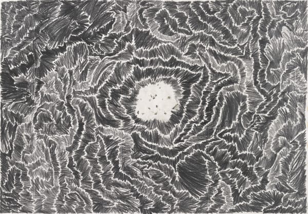 石晉華 , 《走筆#130 (困獸)》 Pen Walking #130 (Encircling), 2012