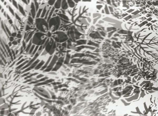 大卷伸嗣, 《重力與恩寵—瞬17/10/2017》 Gravity and Grace–moment 17/10/2017, 2017