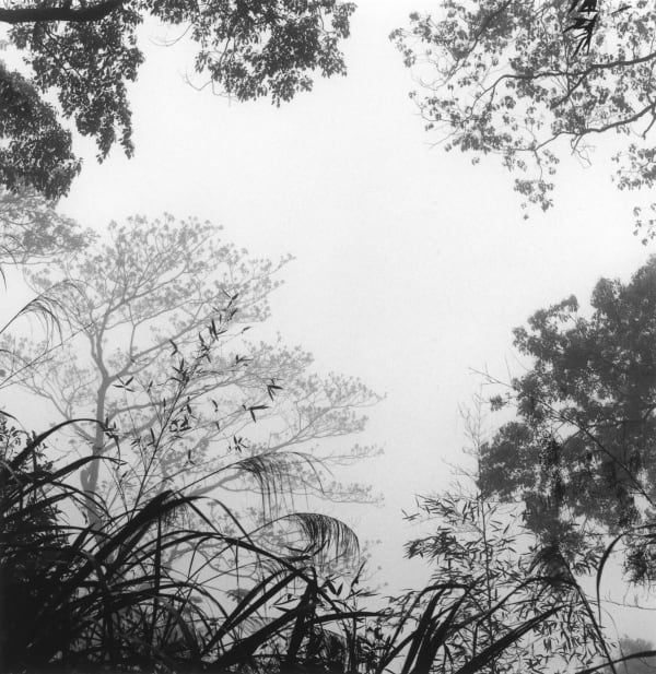 克里斯托弗.戴樂, 《苗栗,台灣 1》 Miaoli, Taiwan 1, 2019