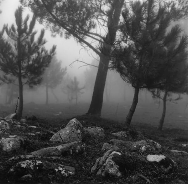 克里斯托弗.戴樂, 《加利西亞,西班牙》 Galicia, Spain, 2019