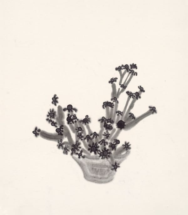 楊寓寧, 《洋甘菊》 Chamomile, 2023