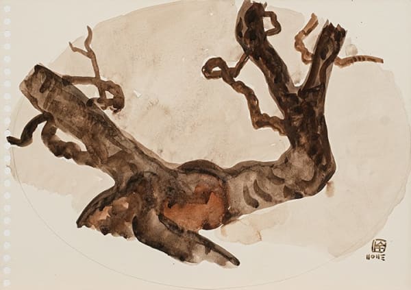 林銓居, 《虬之三》Curly Plum Tree III, 2023