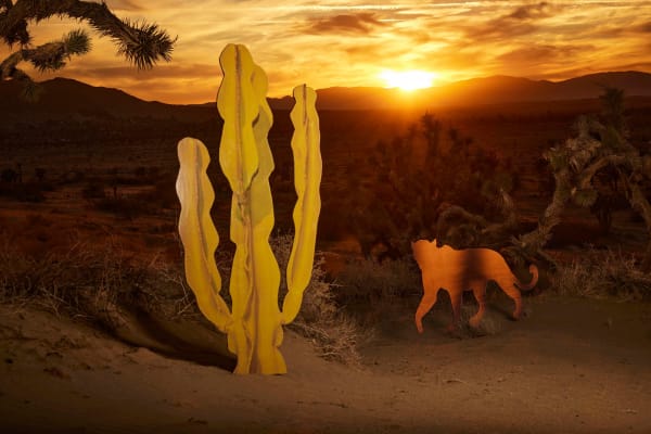 Marco Walker Sunset Prowl, 2022 YSL Photo Installation | Mojave Desert Giclée Print 45 x 30 Inches 114.3 x 76.2 cm
