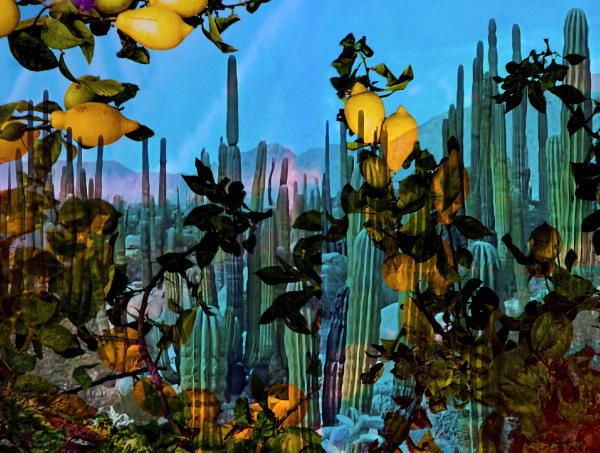 Marco Walker Eden, 2023 Double exposure | Capri and Baja Giclée Print 53 x 40 Inches 134.6 x 101.6 cm