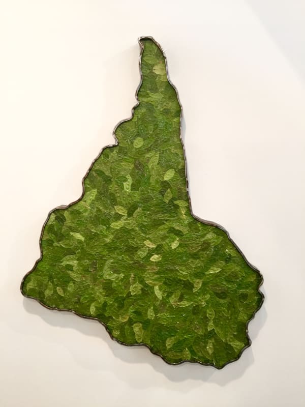 Gaston Ugalde, Inverted South America