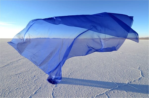 Gaston Ugalde, Untitled