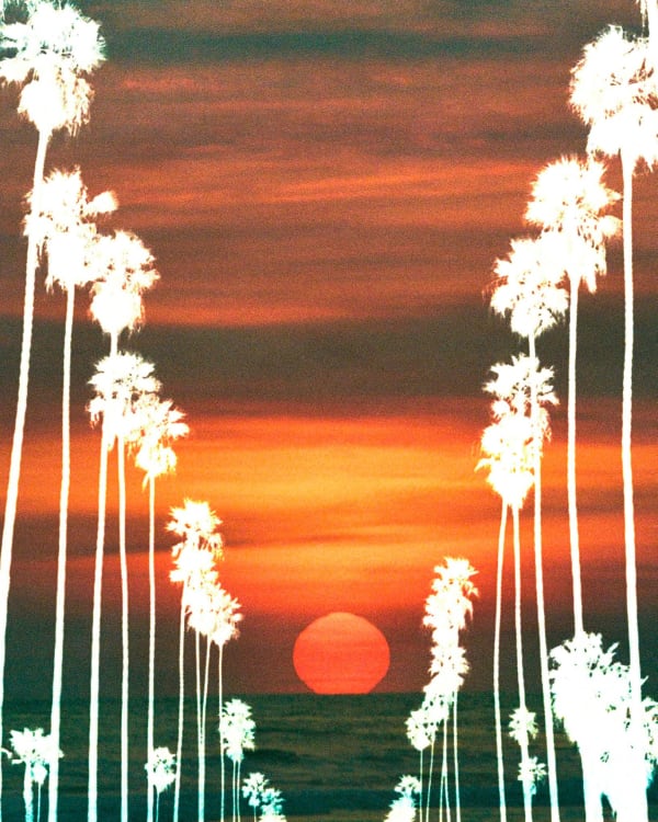Marco Walker Ghost Palms, 2023 Double exposure | Los Angeles Giclée Print 36 x 45 Inches 91.44 x 114.3 cm