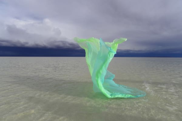 Gaston Ugalde, Untitled