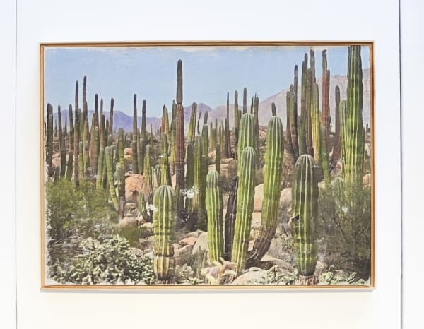Marco Walker Baja, 2023 iPhone Image transfer onto canvas 101.6 cm x 76.2 cm 40 x 30 Inches