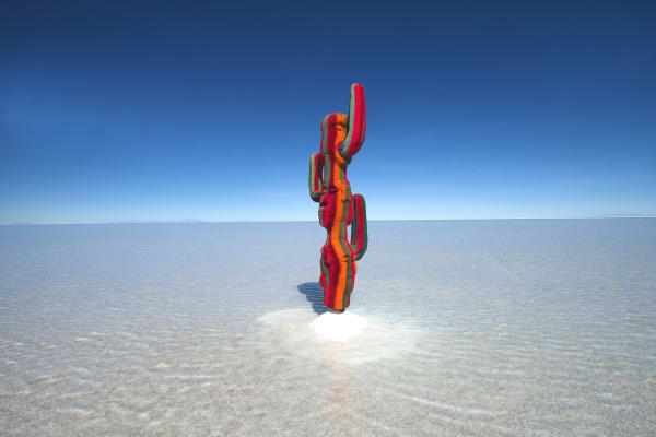 Gaston Ugalde, Untitled