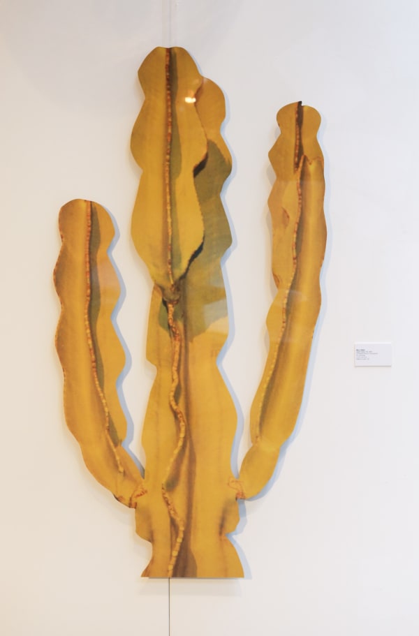 Marco Walker Desert Cactus, 2023 Chromaluxe Print on Cut Aluminium 70 x 40 Inches 177.8 x 101.6 cm