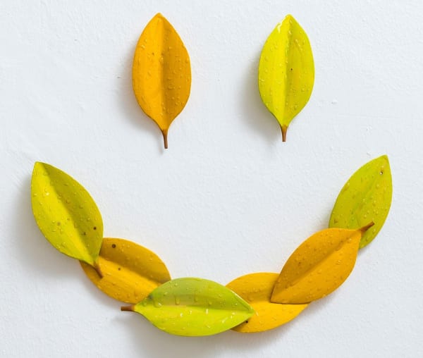 Raul de Lara, Smile, 2020