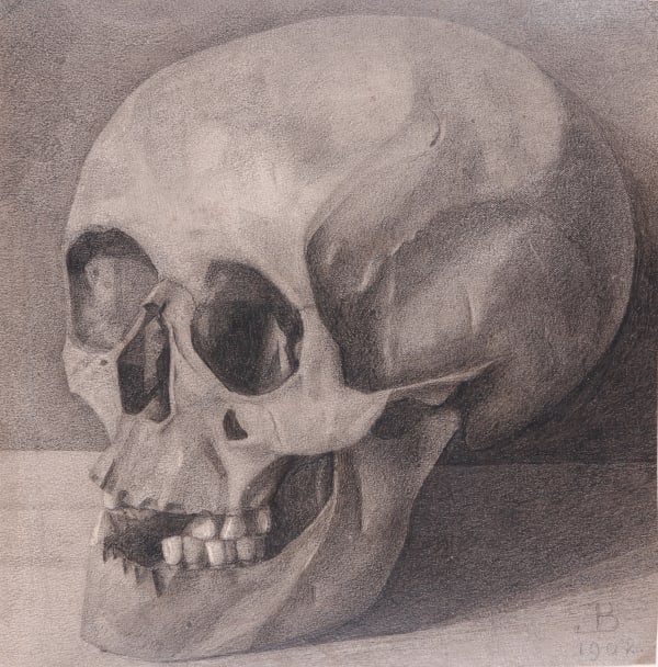 Johan Briedé, Vanitas