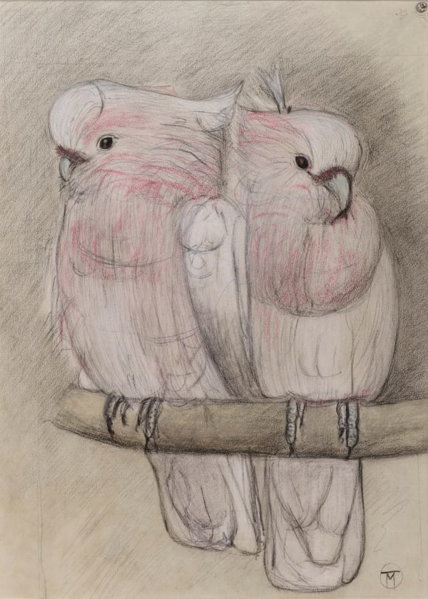 Theo van Hoytema, Two Cocketoos