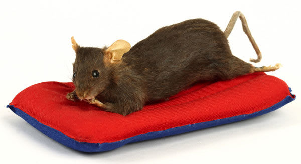 Maurizio Cattelan Untitled, 1998 Taxidermied mouse, air-mattress