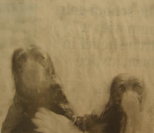 Matt Bryans Untitled (Two Dogs), 2005