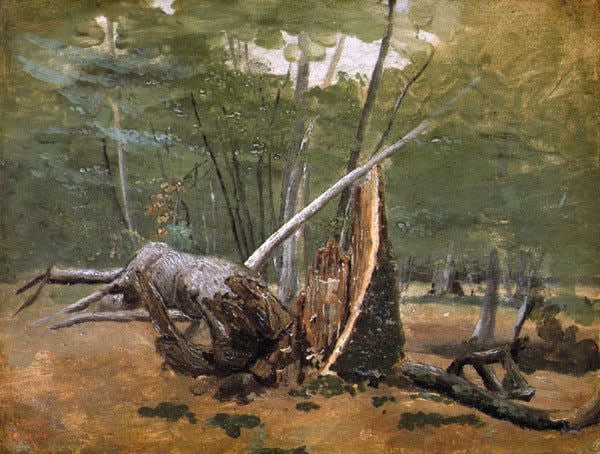 Jean Baptiste Camille Corot (1796-1875) Fountainbleau: Detail de Troncs d'Arbres en Foret, 1822