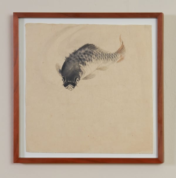 attributed, Kansetsu Hashimoto (1883-1945), carp, ca 1930 - 1940