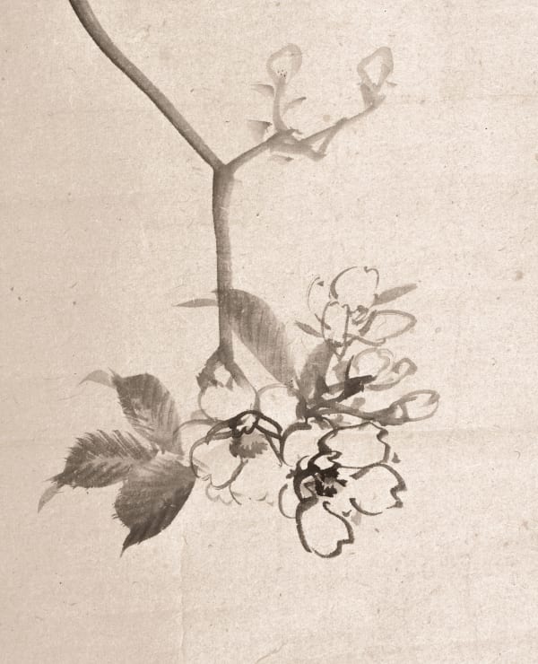 Gito Shibata, Cherry tree, ca. 1790
