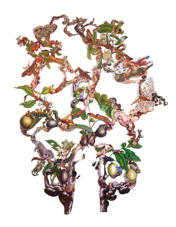 Dominique Paul, Insects of Surinam 34, 2019