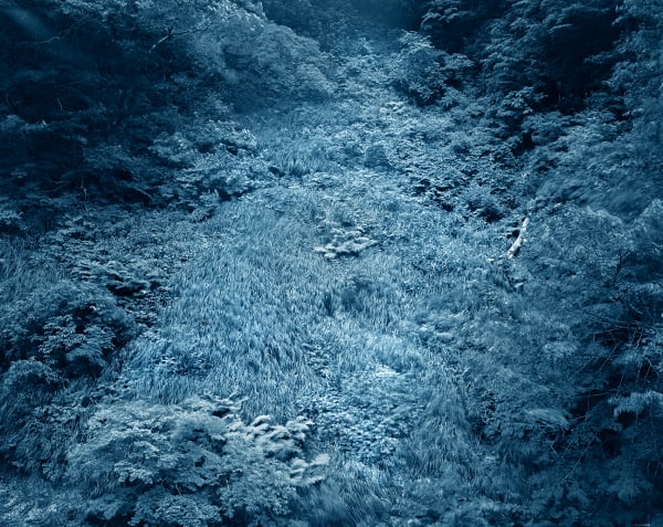 Yojiro Imasaka, Illuminating Earth 134 - C14 May 1, 2020, 2020