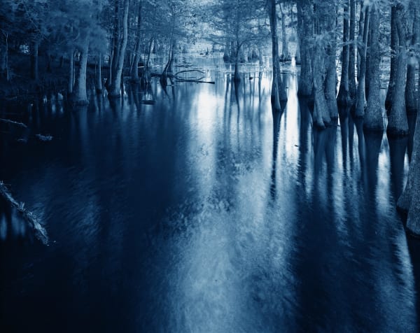 Yojiro Imasaka, Blue Bayou 11, 2016