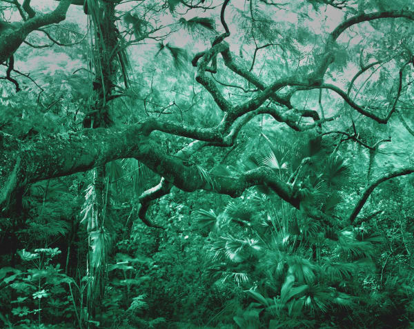 Yojiro Imasaka, Trade Winds 19, 2018