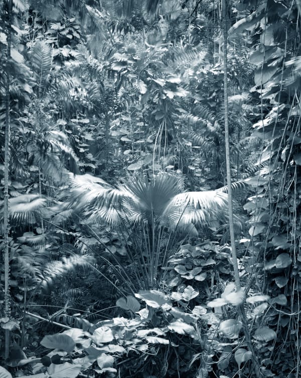 Yojiro Imasaka, Trade Winds 11, 2018