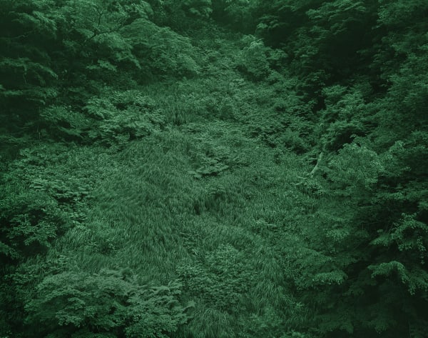 Yojiro Imasaka, Illuminating Earth 136 - C21 May 22, 2020, 2020