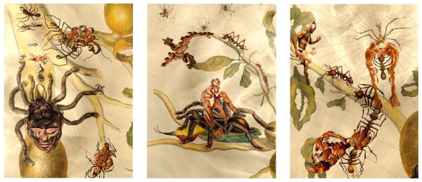 Dominique Paul Insects of Surinam 09, 2013 Series: Insects of Surinam archival pigment print on Hahnemühle Photo Rag 12 1/8 x 26 5/8 in 30.5 x 67.6 cm edition of 6 plus 2 artist's proofs