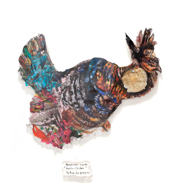 Dominique Paul, Prairie Chicken, 2020